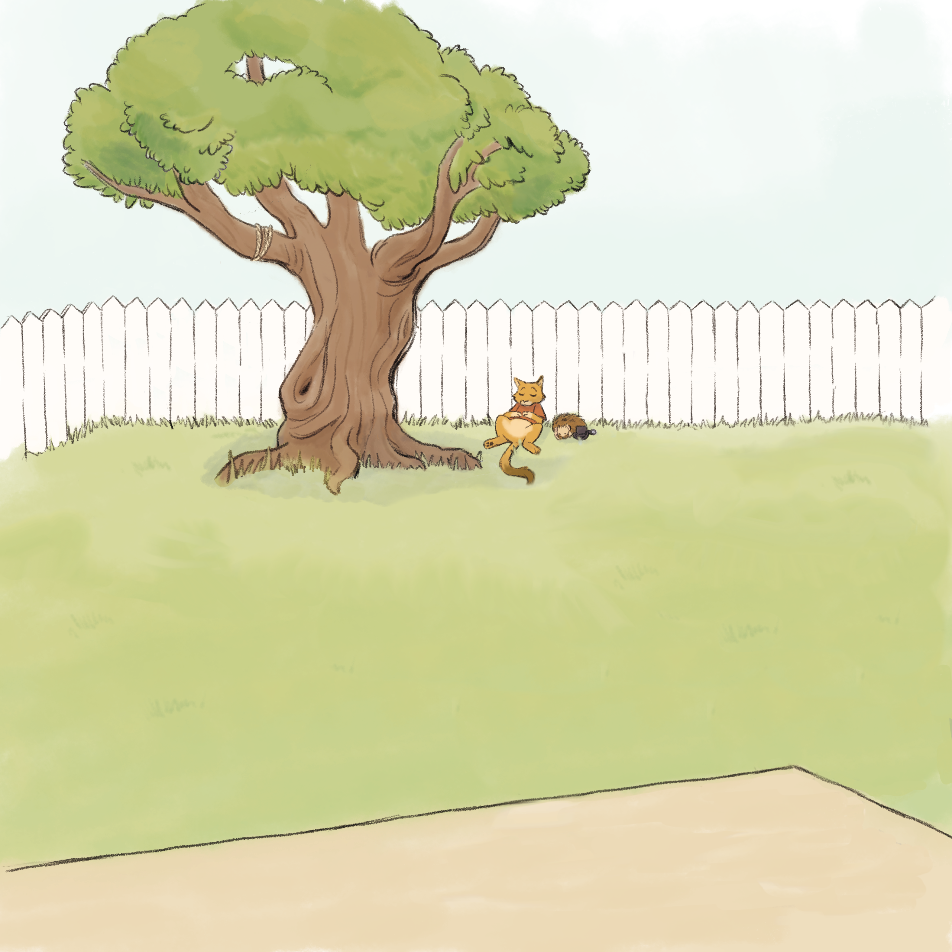 Books Illustration